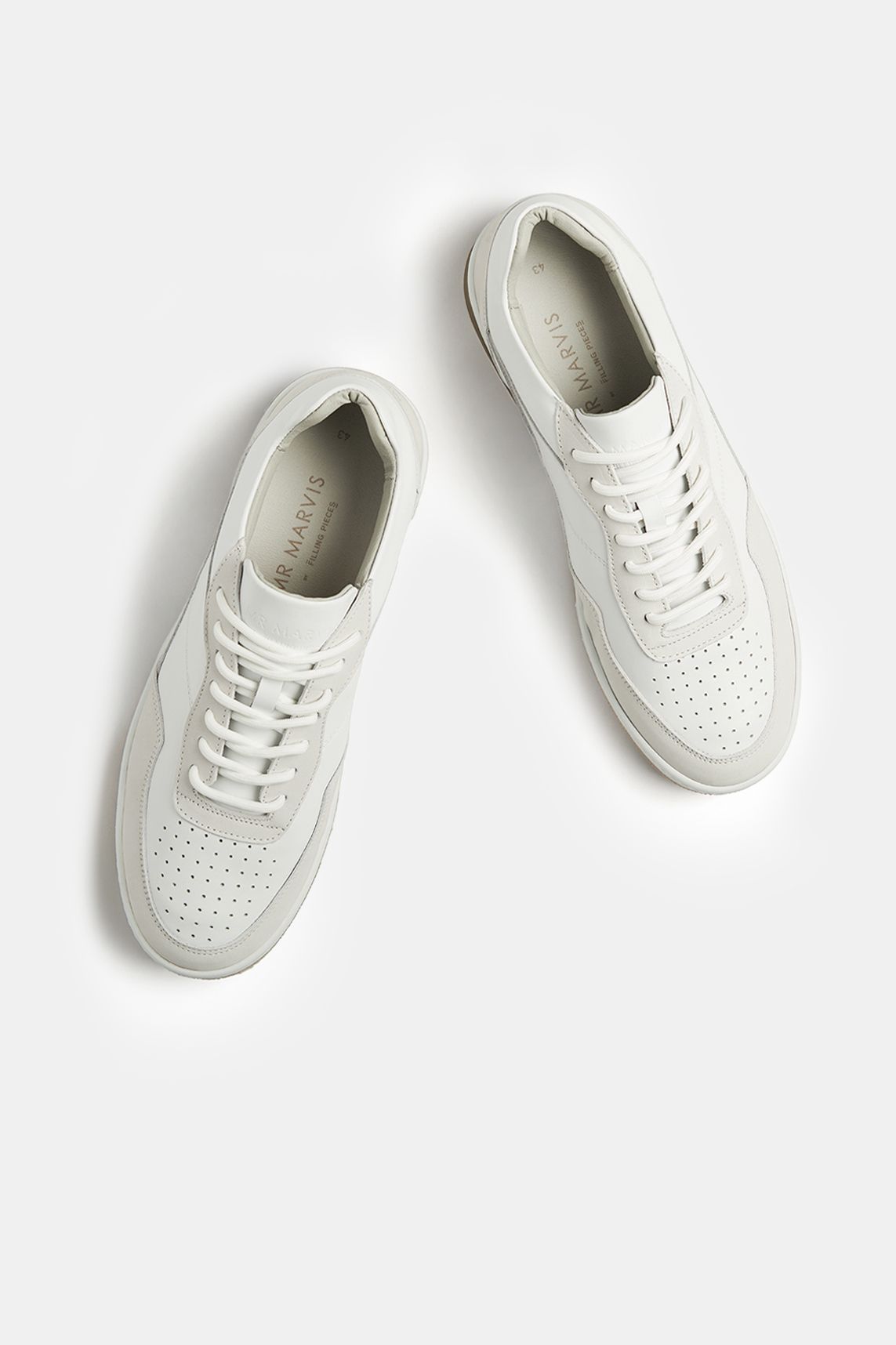Baristas * The Classic Sneakers